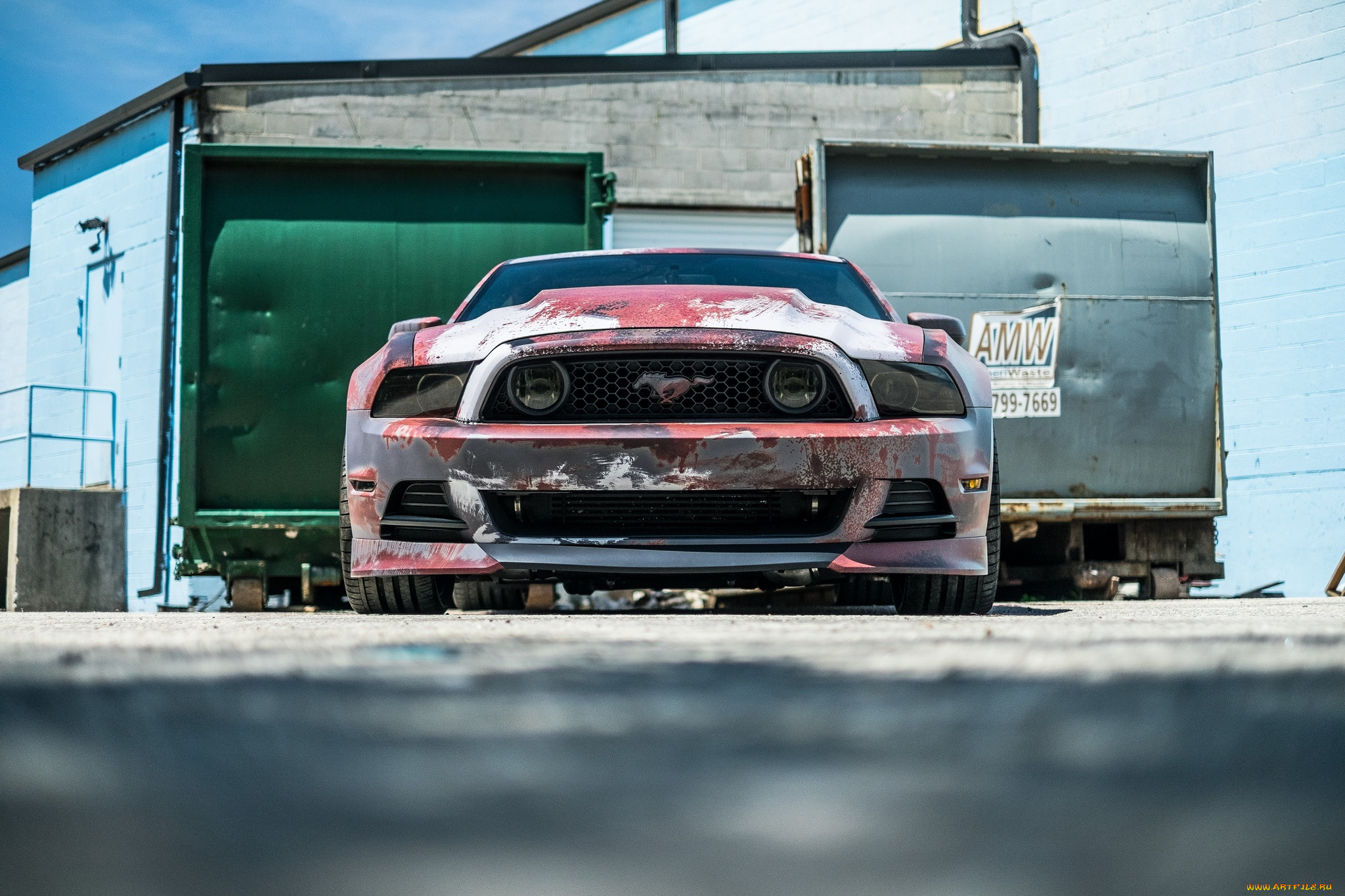 , mustang